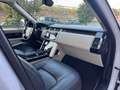 Land Rover Range Rover 5.0 V8 Autobiography 4WD Aut. 525 Weiß - thumbnail 12