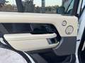 Land Rover Range Rover 5.0 V8 Autobiography 4WD Aut. 525 Weiß - thumbnail 22