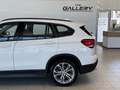 BMW X1 xDrive 20d Aut.*LED*Kamera*AHK*Verkehrszeichen Weiß - thumbnail 10