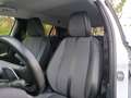 Peugeot 2008 1.5BlueHDi S&S GT Pack EAT8 130 Weiß - thumbnail 25