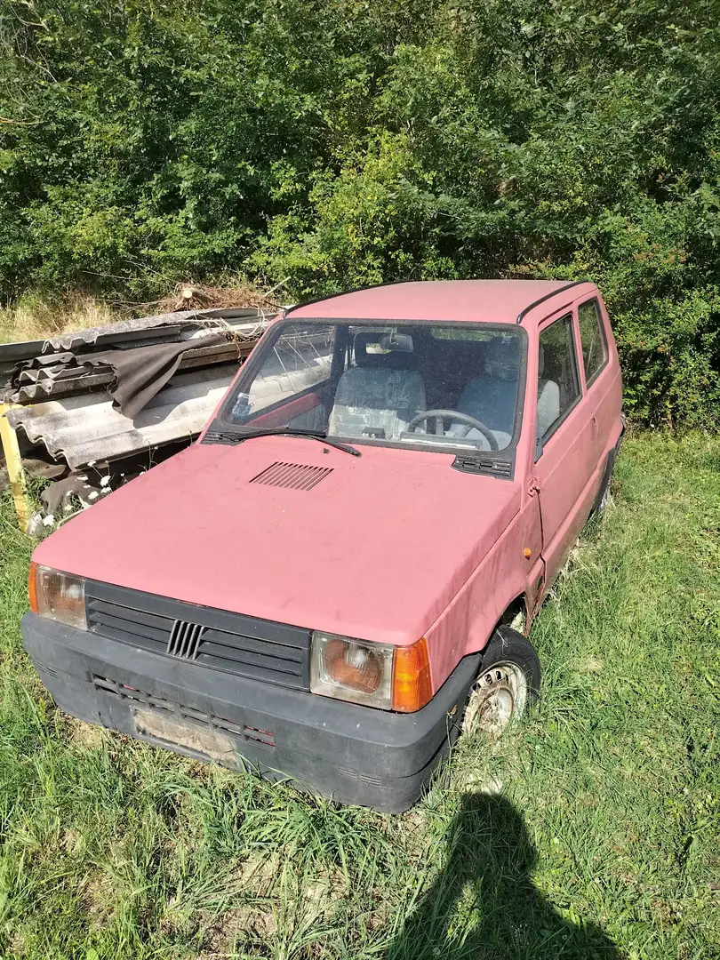 Fiat Panda 1.1 Young - 2