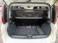 Fiat Panda Cross 1.0 FireFly S&S Hybrid Weiß - thumbnail 10