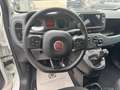 Fiat Panda Cross 1.0 FireFly S&S Hybrid Weiß - thumbnail 12