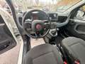 Fiat Panda Cross 1.0 FireFly S&S Hybrid Weiß - thumbnail 11