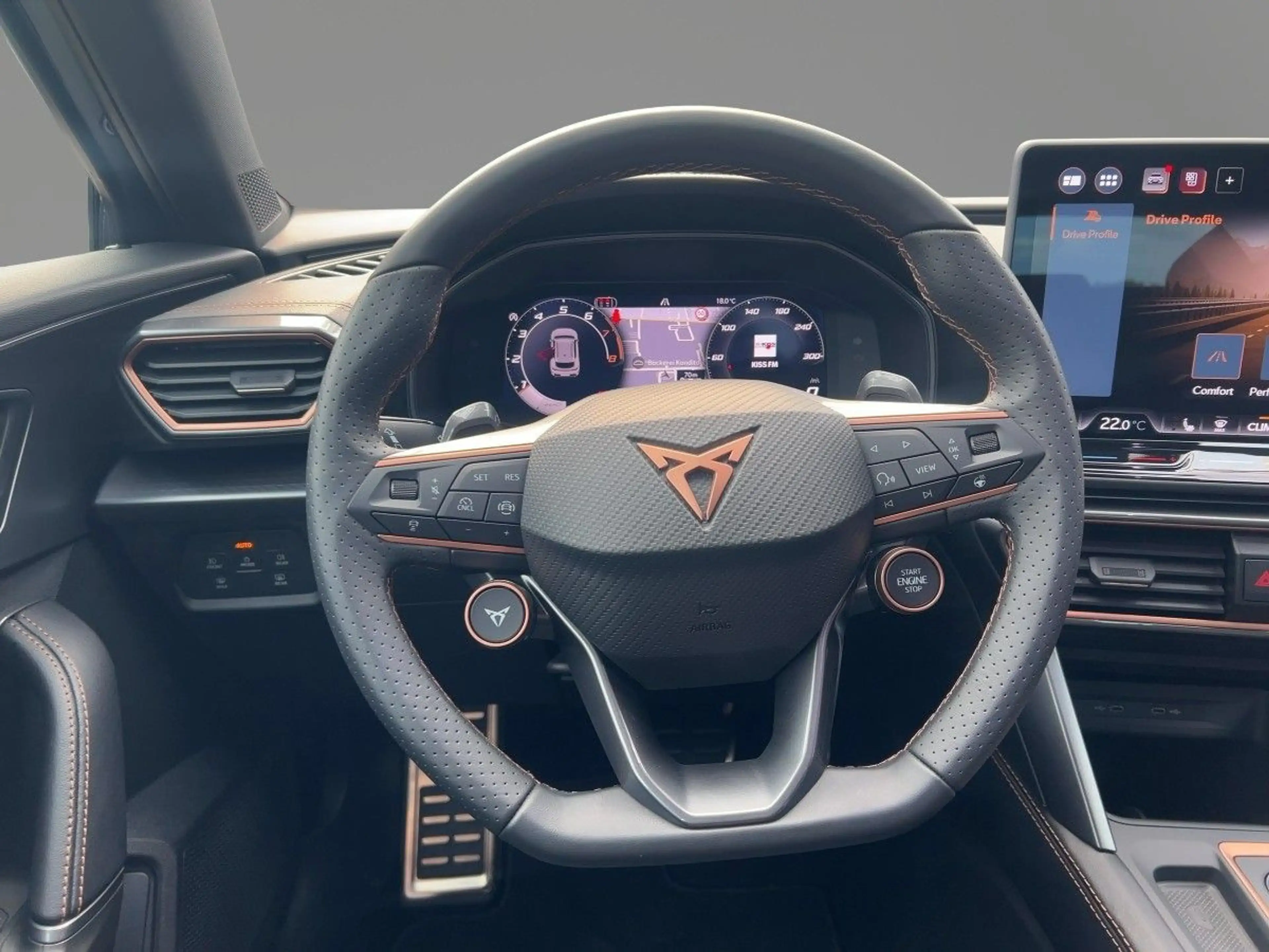 CUPRA Formentor VZ 2.0 TSI DSG Matrix AHK — photo 9