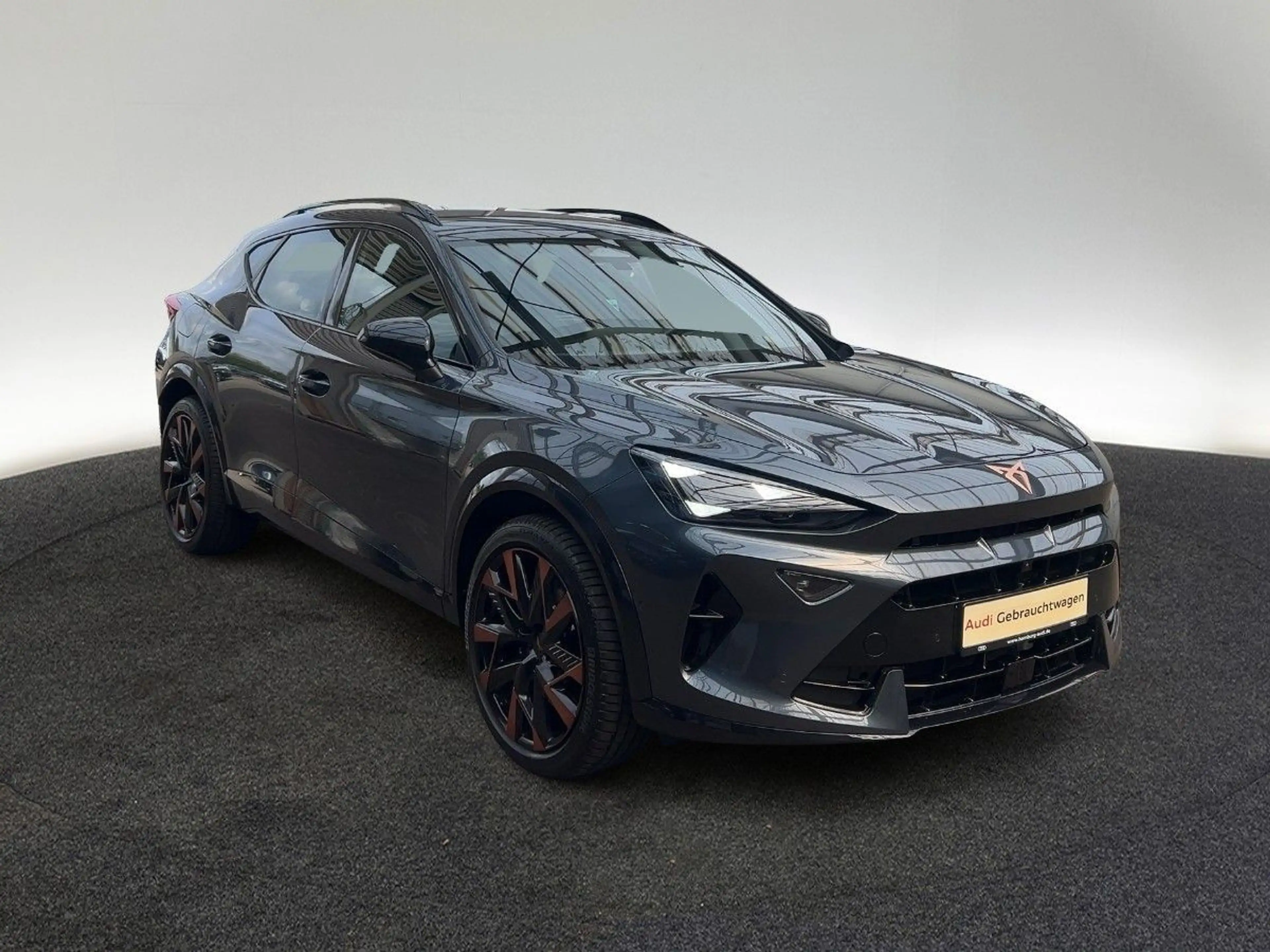 CUPRA Formentor VZ 2.0 TSI DSG Matrix AHK — photo 4