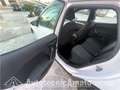 SEAT Arona 1.0 EcoTSI Style Bianco - thumbnail 15