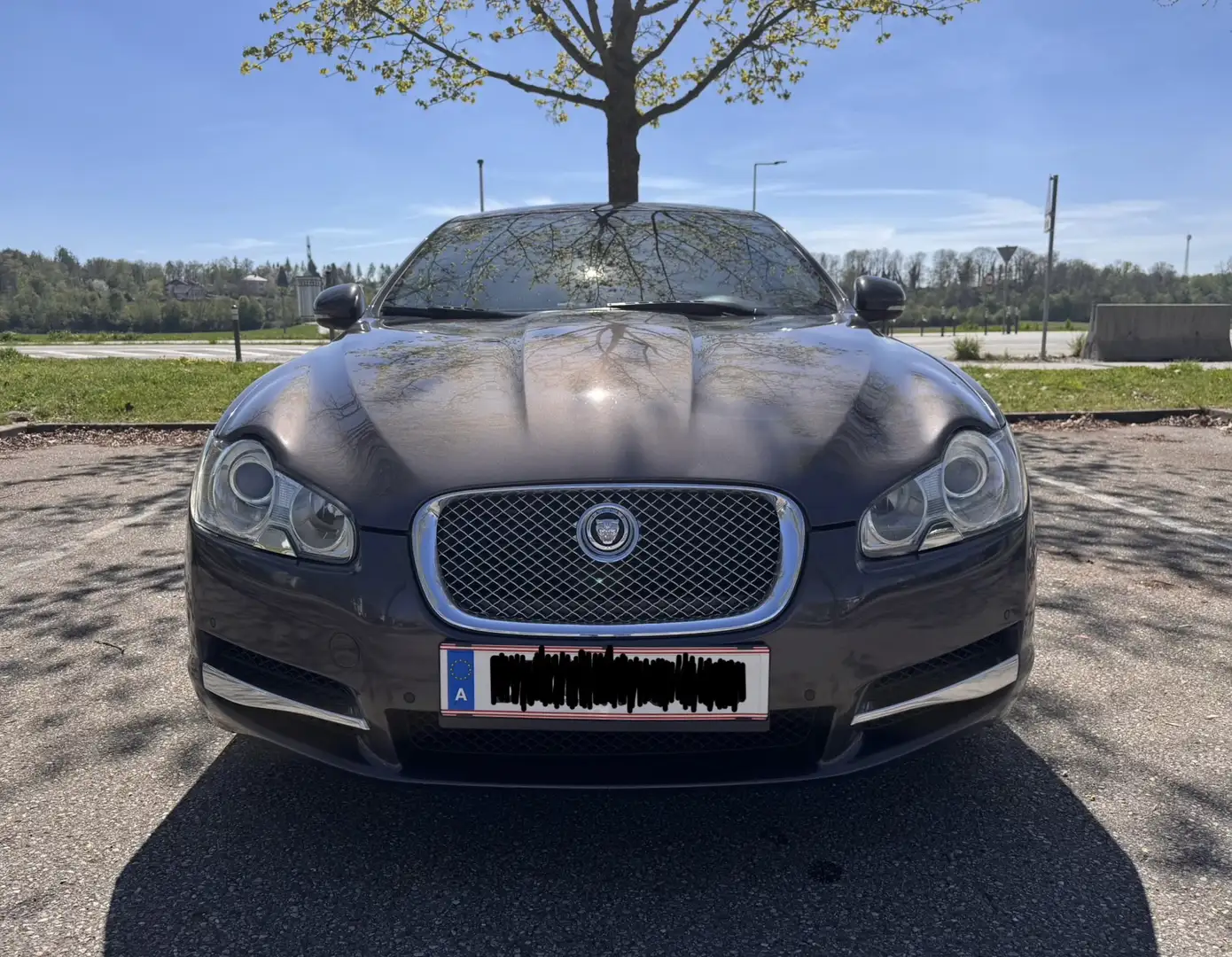Jaguar XF 3,0 Diesel S Premium Luxury Gris - 2