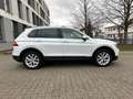 Volkswagen Tiguan 2.0 TDI Highline Wit - thumbnail 8