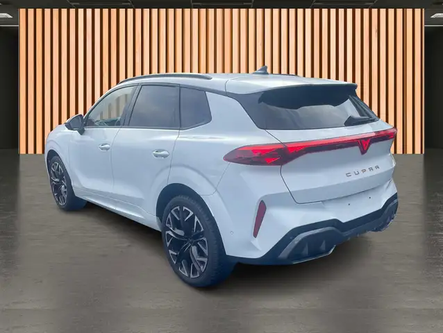 Cupra Terramar view 4