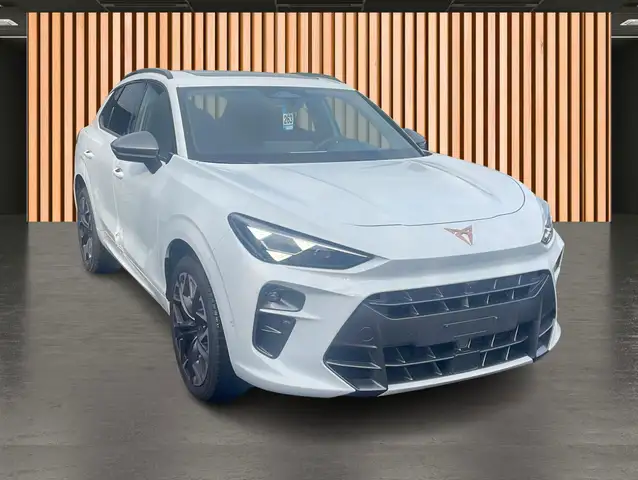 Cupra Terramar view 6