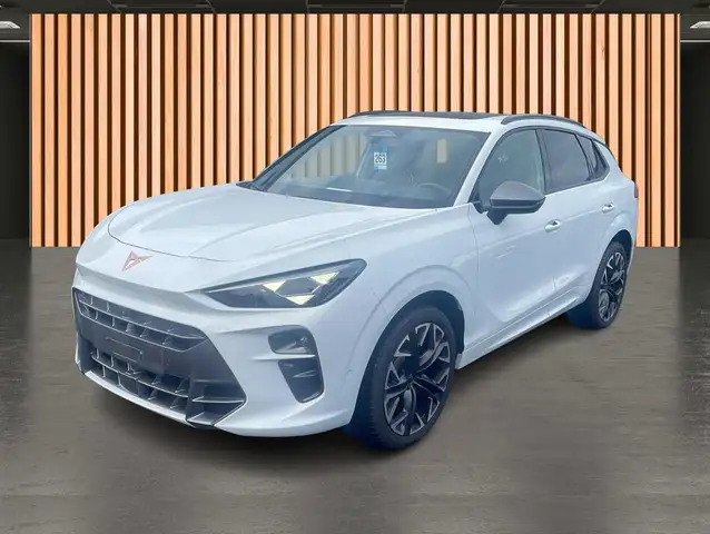 Cupra Terramar view 2