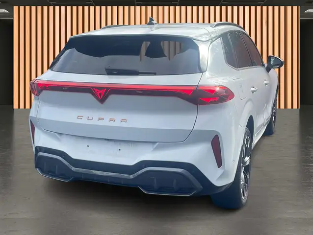 Cupra Terramar view 5