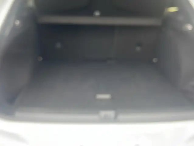 Cupra Terramar view 15