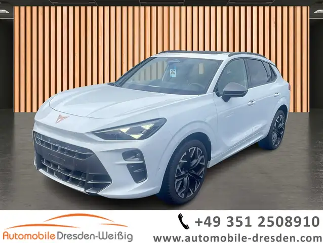 2025 Cupra Terramar in White for sale