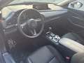 Mazda CX-30 2.5L e-SKYACTIV G 140ps 6AT FWD Homura Blau - thumbnail 16