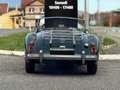 MG MGA A 1600 4 cylindres 1.6L, 80 ch. Grün - thumbnail 4