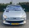 Peugeot 206 CC 1.6-16v Primium Leder/Stoelverwarming Grau - thumbnail 6