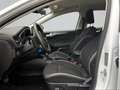 Ford Focus Turnier Cool & Connect 1.0 EcoBoost Mild-Hybrid LE Weiß - thumbnail 8