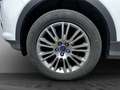 Ford Kuga 20. TDCI 115CH FAP TITANIUM Blanc - thumbnail 21