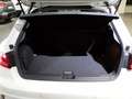 Audi A1 SPB 30 TFSI Business - thumbnail 11