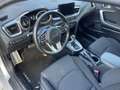 Kia Ceed / cee'd 1.6 CRDi ExecutiveLine | Handel/Export | Start nie Argent - thumbnail 5