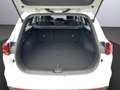 Kia Ceed SW / cee'd SW Vision 1.5 T-GDI DCT Navi PDC Rückfahrkam. NSW Tem Blanc - thumbnail 21