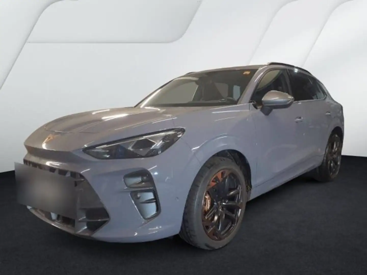 CUPRA Terramar VZ 2.0 TSI DSG MATRIX+NAVI+ACC+DCC+360° Grau - 2