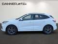 Ford Kuga 2,5 Duratec FHEV AWD ST-Line X Aut. *SOFORT VER... Weiß - thumbnail 6