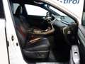 Lexus NX 300h Aut. *F-SPORT *HYBRID *199PS *PANORAMA Blanco - thumbnail 18