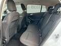 Ford Focus 1.5 EB T C&C Aut ACC WinterPK Kam Tech2 Blanco - thumbnail 10