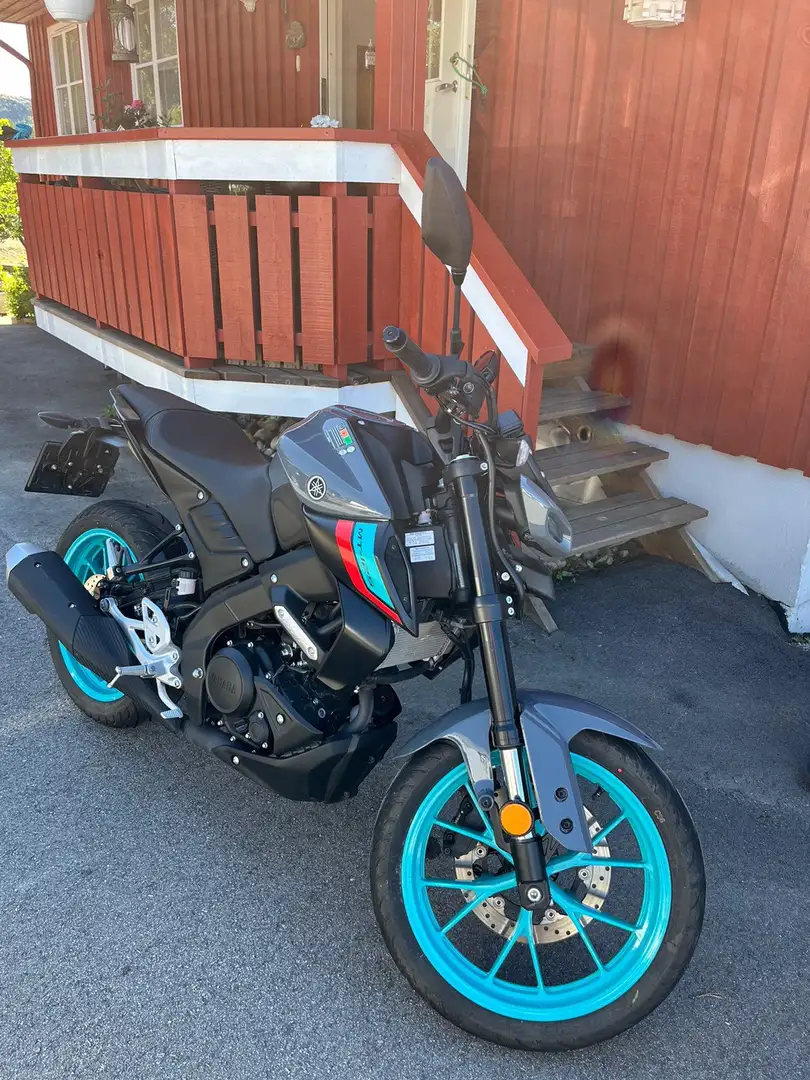 Yamaha MT-125 Grau - 1