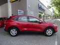 Ford Kuga COOL CONNECT. 2021.5 MY. SUV Navi DynLi PDC Rouge - thumbnail 8