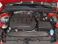 SEAT Leon 2.0TDI S&S Reference 115 Rojo - thumbnail 11