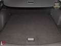SEAT Leon 2.0TDI S&S Reference 115 Rojo - thumbnail 23