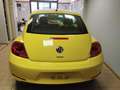 Volkswagen Maggiolino 1.6 tdi Design 105cv Yellow - thumbnail 7