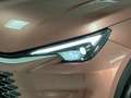 Lexus LBX 1.5 136cv HEV Emotion+ Braun - thumbnail 28