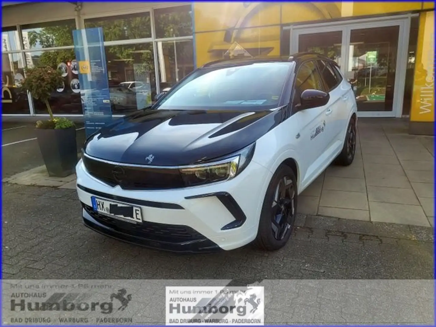 Opel Grandland GSe Plug-in-Hybrid 4 Abn. AHK Weiß - 1