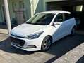 Hyundai i20 i20 1,25 Life Go Life Go Weiß - thumbnail 1