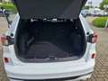 Ford Kuga 1.5 EcoBoost EU6d ST-Line X Blanc - thumbnail 12