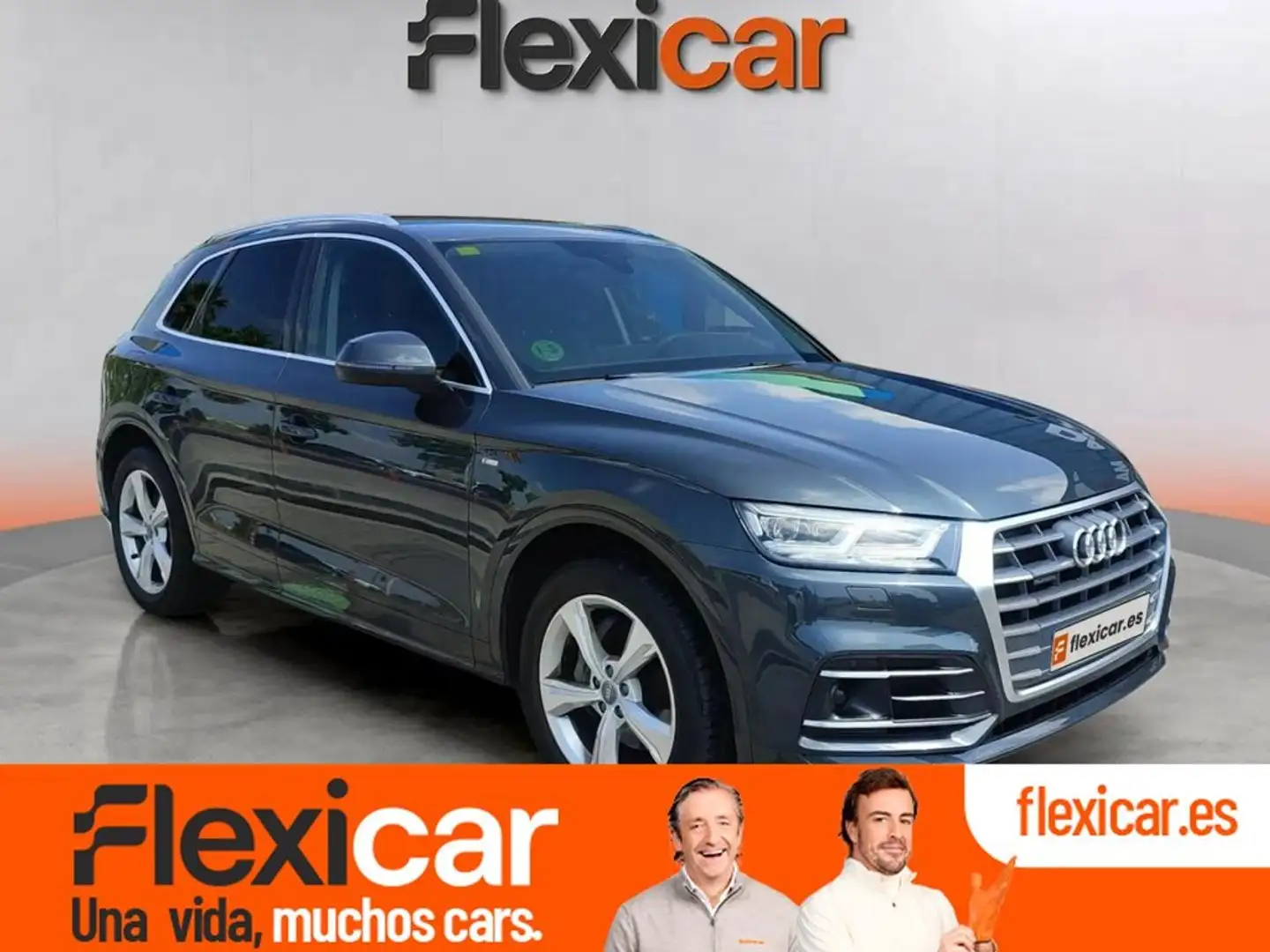 Audi Q5 2.0 TDI 120kW (163CV) quattro S tronic Gris - 1