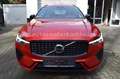 Volvo XC60 B4 Plus Dark,360°Kam,21"Alu,ACC,LED,H&K Red - thumbnail 2