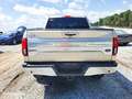 Ford FX4 SuperCrew 4x4 Tout compris hors homologation 4500e Argent - thumbnail 8