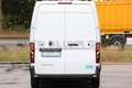 Renault Master 35-130 dCi Advance Mixto L3H2 + 7-Sitze Weiß - thumbnail 6
