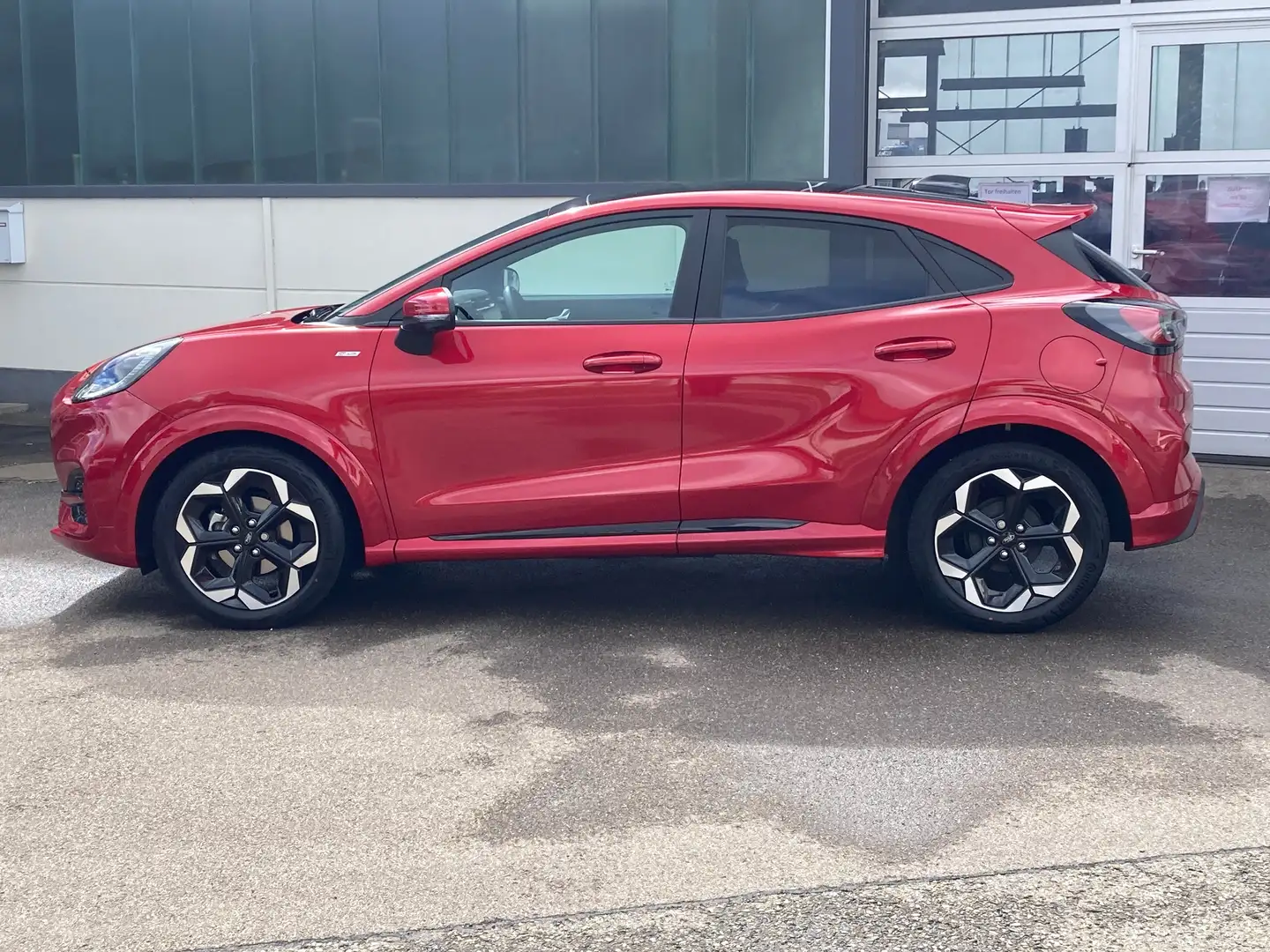 Ford Puma ST-Line X Pano-Dach, AHK, LED-Scheinw. Rot - 2