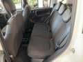 Fiat Panda PANDA PANDA 1.0 HYBRID 70cv - KMO 2025 Bianco - thumbnail 12