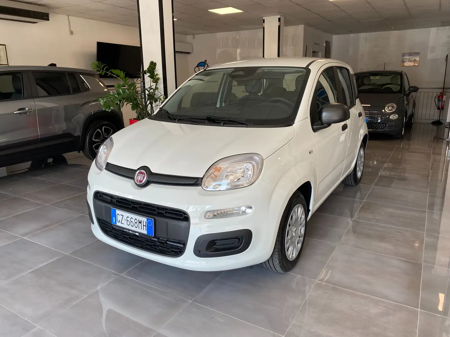 Fiat Panda PANDA PANDA 1.0 HYBRID 70cv - KMO 2025 Bianco - 2