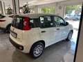 Fiat Panda PANDA PANDA 1.0 HYBRID 70cv - KMO 2025 Bianco - thumbnail 5