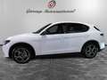 Alfa Romeo Stelvio 2.2 Turbodiesel 210 CV AT8 Q4 Sprint Wit - thumbnail 1