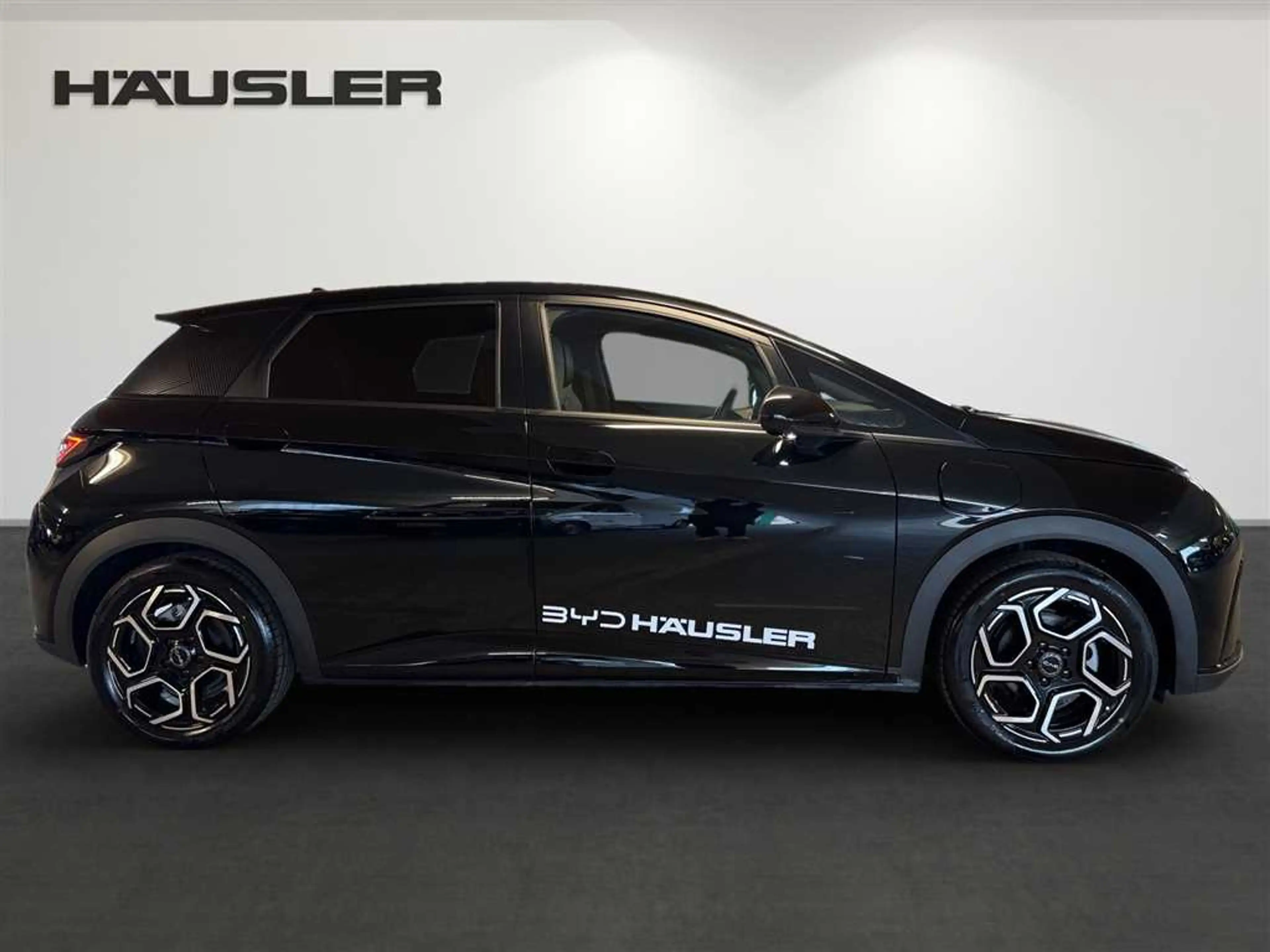 BYD Dolphin DESIGN 360°Kamera Leder Sitzkühlung Panoramadach — photo 3